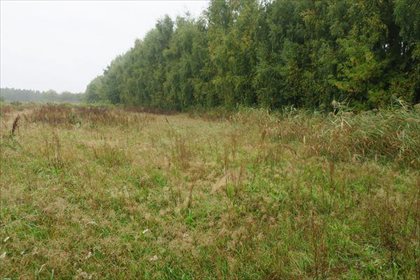 Działka budowlana na sprzedaż Ślepowron, Ślepowron 1 247m2 Foto 1