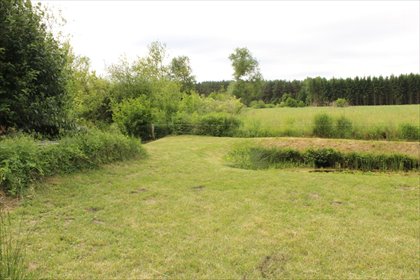 działka na sprzedaż 246m2 działka Kuźnica Głogowska