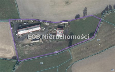 lokal użytkowy na sprzedaż 930m2 lokal użytkowy Ryczywół