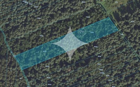 działka na sprzedaż 10700m2 działka Kowalewszczyzna