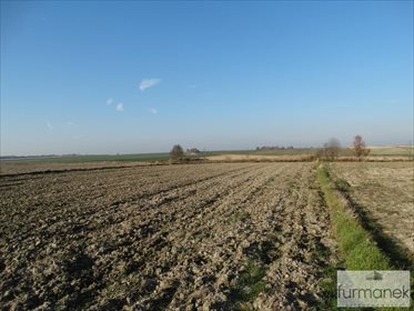 Działka rolna na sprzedaż Babice 7 838m2 Foto 4