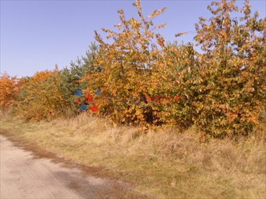 działka na sprzedaż 1000m2 działka Henryków-Urocze