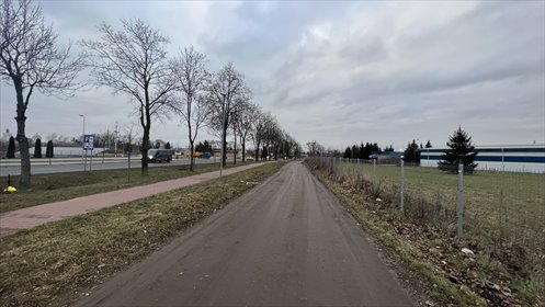 Działka komercyjna pod dzierżawę Grodzisk Wielkopolski 5 920m2 Foto 3
