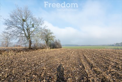 działka na sprzedaż 2119m2 działka Brodna