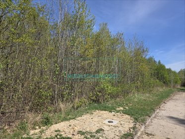 Działka 2110 m² z mediami i planem zagospodarowania działka Szczęsne
