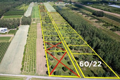 Działka 2233 m² przy lesie w Józefowie – idealna pod dom działka Józefów