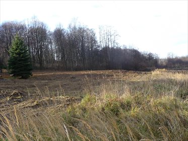 działka na sprzedaż 3228m2 działka Gaj