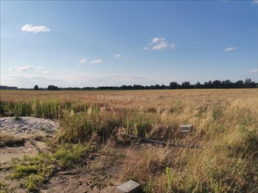 Działka budowlana na sprzedaż Nowa Wieś Kącka, Kąty Wrocławskie 1 000m2 Foto 1
