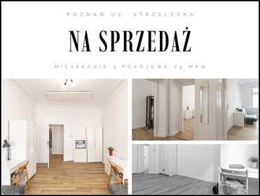 mieszkanie na sprzedaż 75m2 mieszkanie Poznań, Stare Miasto, Strzelecka