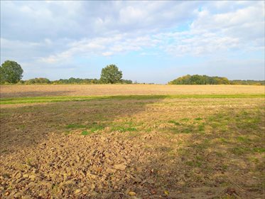 Działka rolna na sprzedaż Wierzchoniów, Kazimierz Dolny 4 400m2 Foto 1