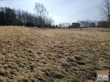 Działka rekreacyjna 1887 m2 przy lesie w Kocioł. działka Kocioł