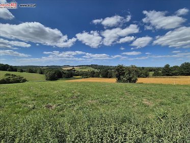Sprzedam działkę 99 000 m² w Skawinie z dostępem do drogi asfaltowej działka Skawina, Skawina