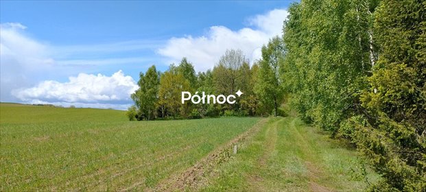 Urokliwa działka 3,27ha z domkiem, stawem i lasem działka Stary Barkoczyn