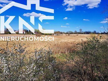 działka na sprzedaż 5000m2 działka Miłocin