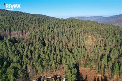 Działka leśna z widokiem na Jezioro Żywieckie działka Tresna, Żywiecka