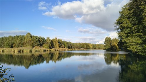 Alternatywa dla działek ROD na nowo powstającym osiedlu działka Eligiów