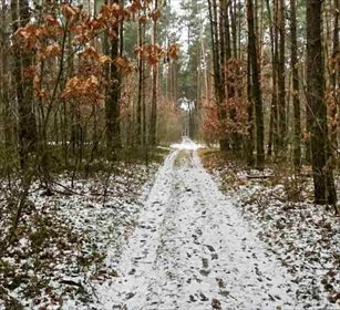 działka na sprzedaż 1200m2 działka Jamborek