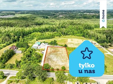 Działka na wynajem w Miszewku, 4376 m², utwardzona, z monitoringiem działka Miszewko, Gdyńska