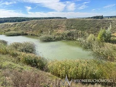 działka na sprzedaż 23100m2 działka Pakosławsko