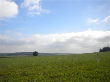 Działka rolna na sprzedaż Gołyszyn 28 520m2 Foto 4