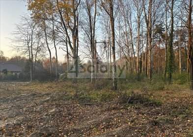 Działka 1100 m² z MPZP, prąd, las, Podkowa Leśna. działka Podkowa Leśna