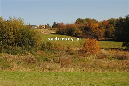 działka na sprzedaż 2761m2 działka Kraków, Swoszowice, Rajsko, Golkowicka