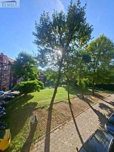 Przestronne 2-pokojowe mieszkanie w centrum Katowic. mieszkanie Katowice, Śródmieście, EKSPERT 695 960 915