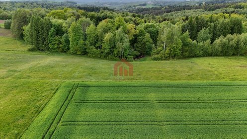działka na sprzedaż 2900m2 działka Broniszów
