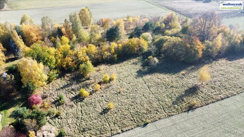 działka na sprzedaż 7469m2 działka Koło