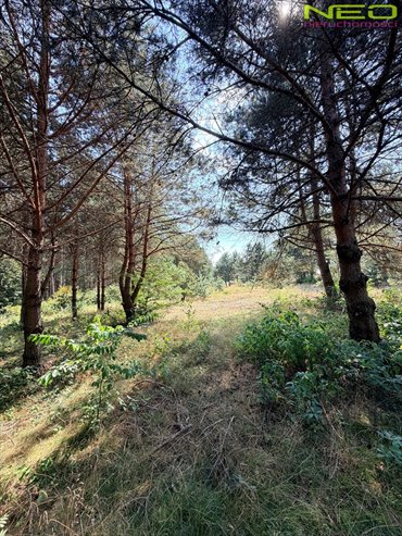Polecam działkę 2866 m² w Biskupicach z lasem i rezerwatem działka Biskupice