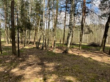 Działka 3100 m² w leśnej otulinie, media, polecam! działka Żanęcin