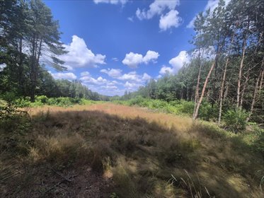 działka na sprzedaż 1007m2 działka Kłobuck, Lgota