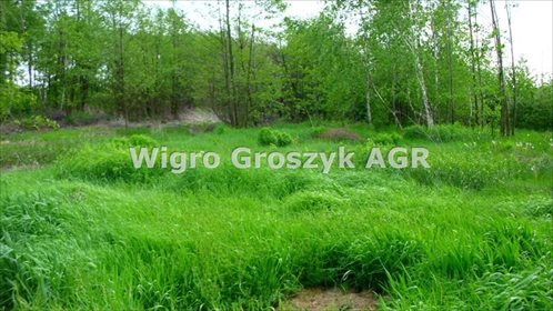 Działka 12 500 m² przy asfaltowej drodze, blisko Żelazowej Woli działka Mokas