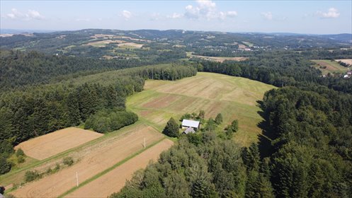 działka na sprzedaż 96200m2 działka Lutcza