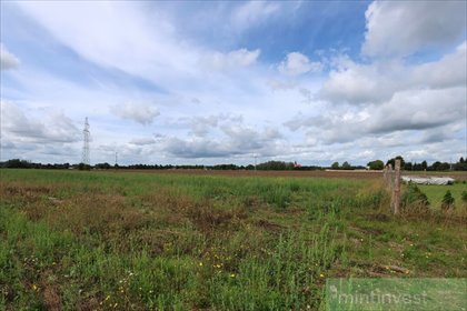 Zapraszam do zakupu działki 4676 m² w Maszewie działka Maszewo