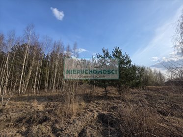 Działka 1160 m² z mediami, planem i rekreacją działka Ojrzanów