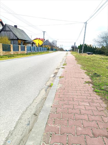 Działka 5000 m² przy drodze asfaltowej w Serbinowie działka Mniów, Serbinów