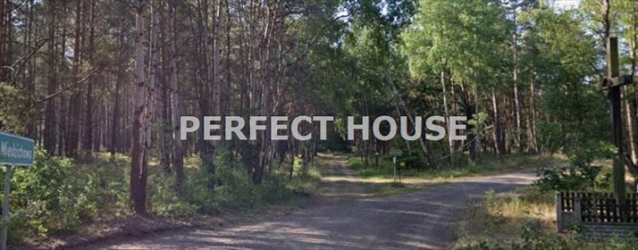 działka na sprzedaż 82700m2 działka Toczeń, Droga Leśna