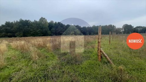 Działka budowlana na sprzedaż Wiechlice 1 010m2 Foto 2