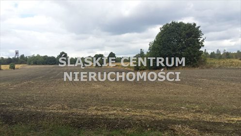 Działka budowlana na sprzedaż Zabrze, Biskupice, Kasprowicza 32 420m2 Foto 2