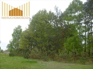 Na sprzedaż działka 17 100 m² z planem zabudowy w Chmielewie działka Mińsk Mazowiecki, Chmielew