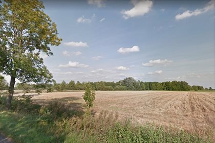 Działka siedliskowa na sprzedaż Międzylesie, Rogoźno 15 794m2 Foto 2