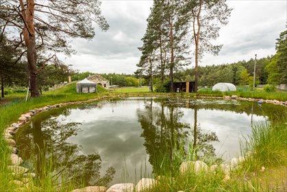 Działka inwestycyjna na sprzedaż Gucin 17 775m2 Foto 2