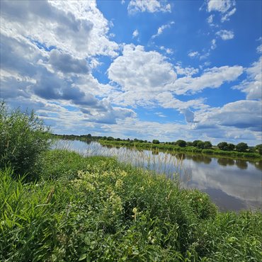działka na sprzedaż 1400m2 działka Brzuza