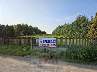 Działka siedliskowa 33 800 m² z warunkami zabudowy - polecam! działka Mogielnica