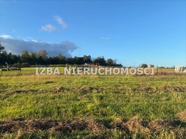 działka na sprzedaż 5345m2 działka Rękusy