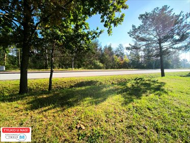 działka na sprzedaż 814m2 działka Sitkówka- Nowiny, Sitkówka- Nowiny