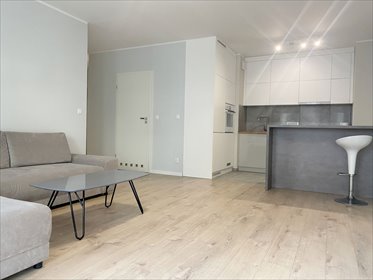 mieszkanie na wynajem 50m2 mieszkanie Poznań, Grunwald