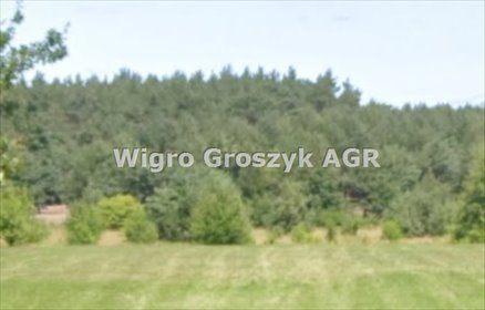 działka na sprzedaż 10100m2 działka Mokas