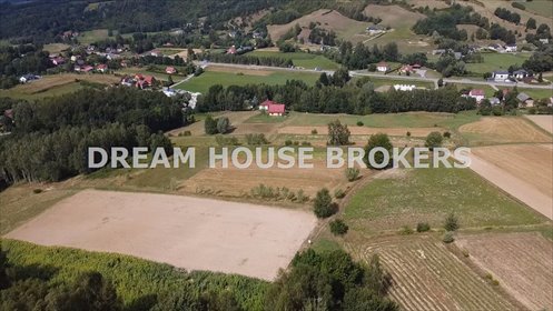 Widokowa działka 30 ar w Nowym Borku - zapraszam działka Nowy Borek